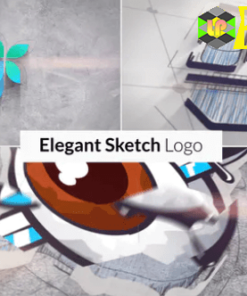 Elegant Sketch Logo Reveal
