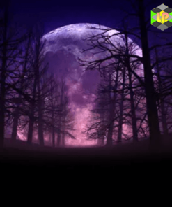 Full Moon Night In Forest Halloween Background 01 4k
