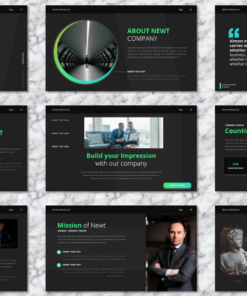 Newt - Company Profile Powerpoint Templates