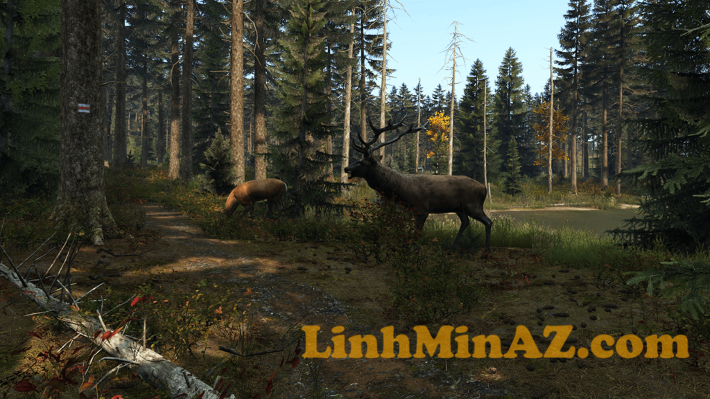 LinhMinAZ